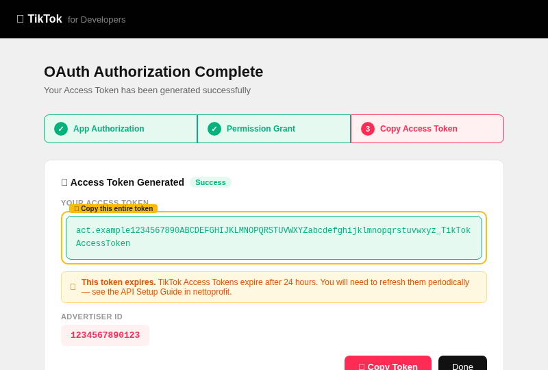 TikTok Access Token generated