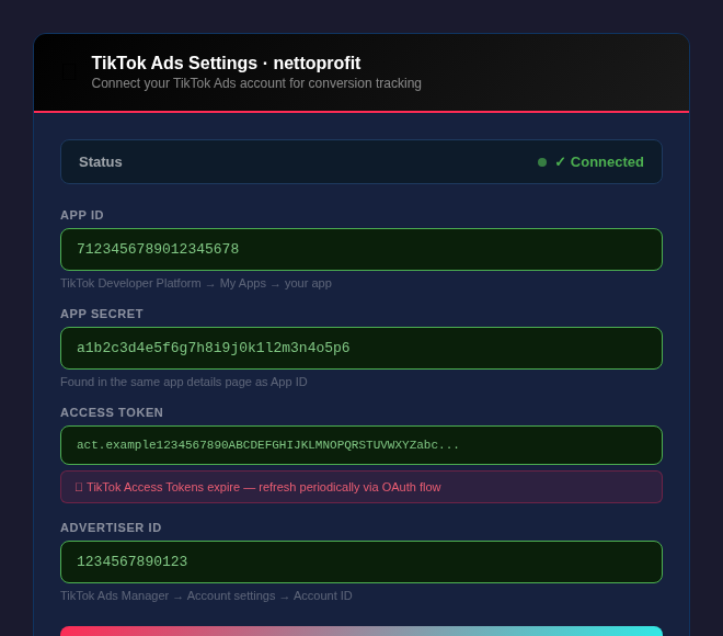NettoProfit TikTok Ads connected